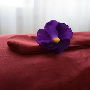  Villa East West Vietnam